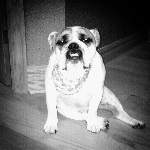 Meet your Posher, Scott - Picture 1 of 2